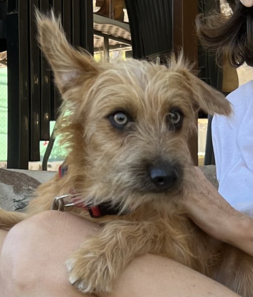 Bounty - RESERVADO - Imagen 13