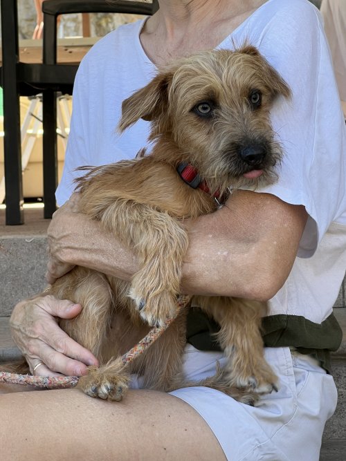 Bounty - RESERVADO - Imagen 14