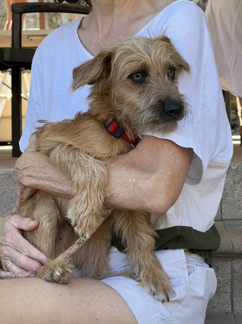 Bounty - RESERVADO - Imagen 15