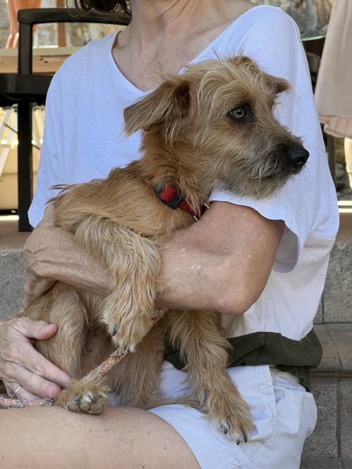 Bounty - RESERVADO - Imagen 16