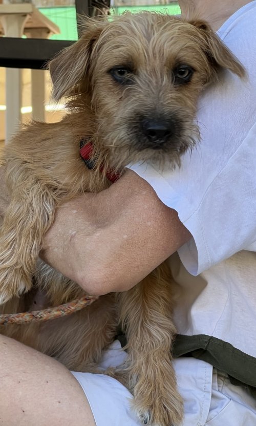 Bounty - RESERVADO - Imagen 17