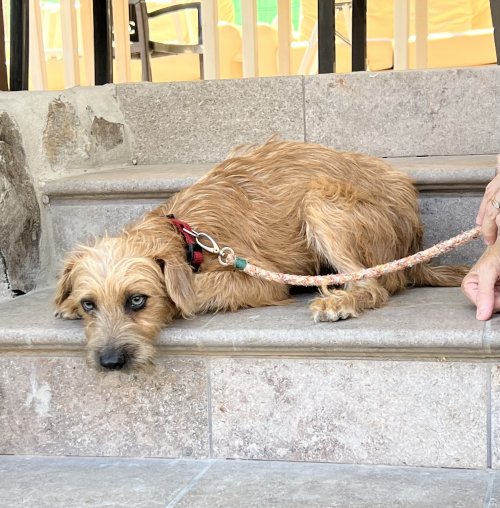 Bounty - RESERVADO - Imagen 18