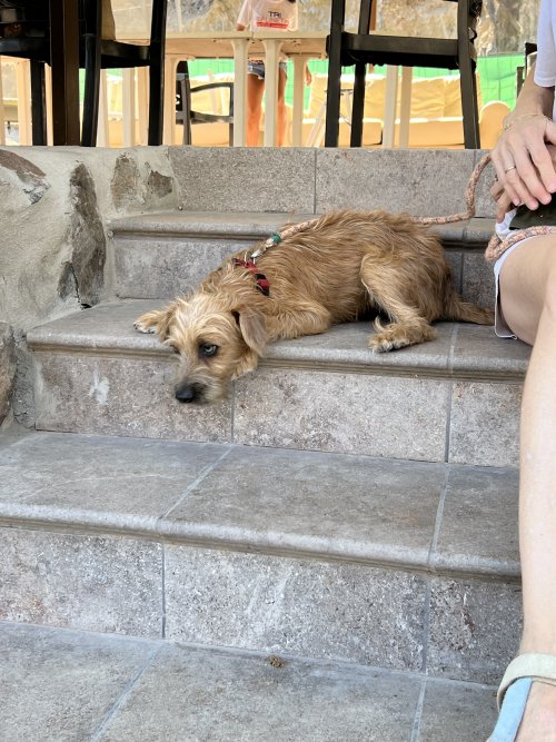 Bounty - RESERVADO - Imagen 19